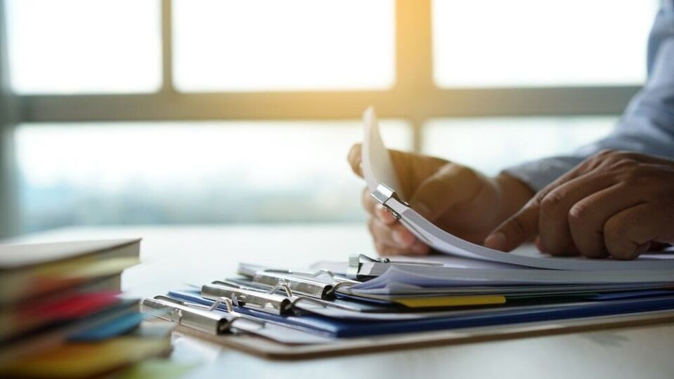 200 tys. zł na zieleń. Nabór projektów w 2027 roku